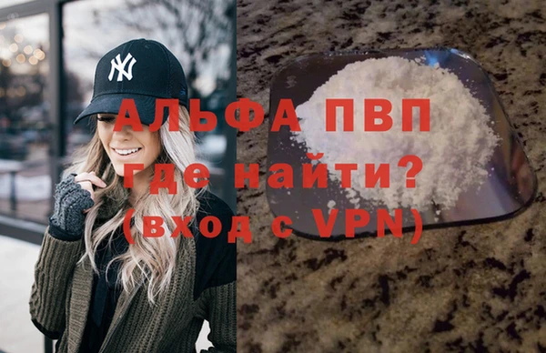 стаф Щигры