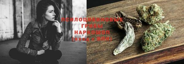гидропоника Надым