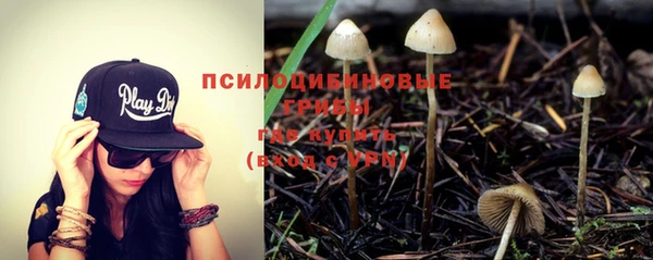 PSILOCYBIN Щёлкино